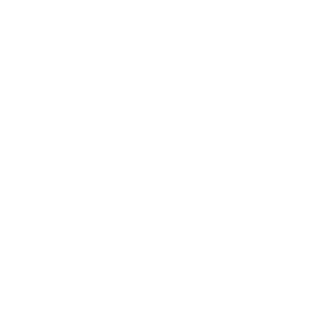 soluttiservicos_logo_holstein